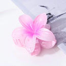45761355808991