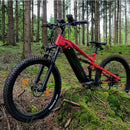 PULUMA PH001 Electric Bicycle 1000W Power Ebike 48V 20AH Battery 27.5*2.8 Inch Tire Off-road Electric Mountain Bike