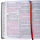 Holy Bible Lt Extragigant ARC Black Lateral Index