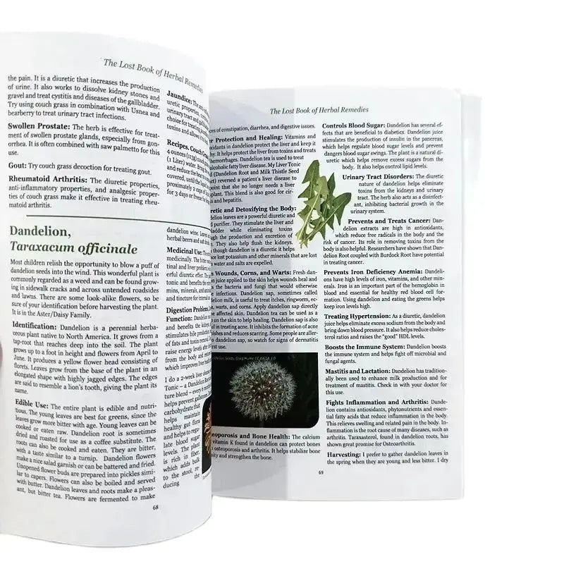 The Lost Book Of Herbal Remedies English Book The Healing Power Of Plant Medicine Powerful Natural Remedies