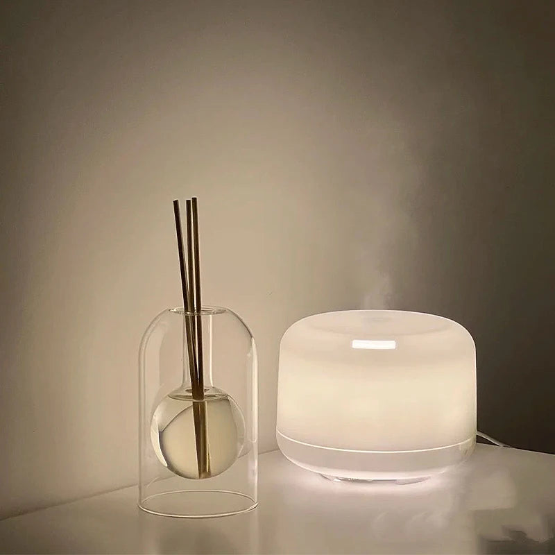 Aromatherapy Diffuser Bottle Transaprent Glass Essential Oil Bottles with Fragrance Stick Home Storage Containers Bottle