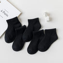 45161909551327|45161909584095|45161909616863|45161909649631