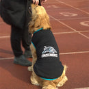 45315498967263|45315499131103|45315499163871|45315499229407|45315499262175|45315499426015|45315499458783