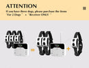 The Boundary Sentinel | Dual-Mode Wireless Pet Containment System