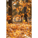 Autumn Landscape Backdrop Fall Forest Maple Fallen Leaves Nature Scenery Harvest Thanksgiving Portrait Photography Background