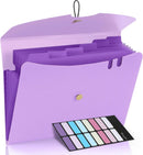 Expandable File Folder, Letter Size Organ Organizer, 5 File Pockets, Portable Organizer for School Office Supplies