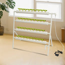 Bymaocar Hydroponic Grow Kit, 36 Löcher, 4 Röhren, erdelose Pflanzenzuchtsysteme, Tiefwasserkultur-Garten mit Pumpe