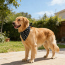 Dog Bandana Fruit Floral Spring Washable Soft Doggy Scarf Kerchief Summer Adjustable for Small Medium Large Dogs Pets