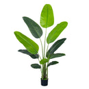 Artificial Bird of Paradise Plant 180cm with 11 Silk Banana Leaves Faux Plant Indoor Decor Trees with White Pot for Home