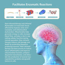 810nmx280pcs 15W NIR Red Light Therapy PBM Brain Neuromodulation Helmet Parkinson Alzheimer Treatment 1-20000Hz Adjustable