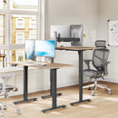 WOLTU Height Adjustable Stand Up Desk Bracket Electric Lifting Desk Frame with USB Charging Port Memory Control for Home Office
