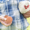 6/12/18/30pcs Hatching Egg Easter Hen Poultry Hatch Breeding Simulation Fake Plastic Artificial Eggs to Help Chickens Lay Eggs