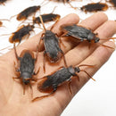 12pcs Prank Artificial Fake Cockroach Plastic Simulation Fake Roach Bug Funny Trick Joke Toys Halloween Props Spoof Decoration