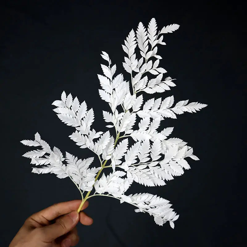 10pcs Preserved Natural Real white Arachniodes Leather Leaf Fern Fresh Fern Leaves Preserved flowers Plants Christmas Decoration