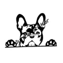 45340883255519|45340883321055|45340883353823|45340883386591|45340883419359