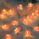 44534638084319|44534638117087|44534638149855|44534638182623