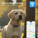 IP67 Waterproof Mini 4G GPS Animal Tracker Collar Anti-Lost Real Time Tracking Dog Cat Locator Pet Dog Cat Fashion Neck Collar