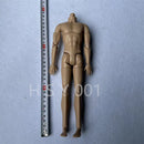 New 22 joint male warrior, male model, male doll body accessories