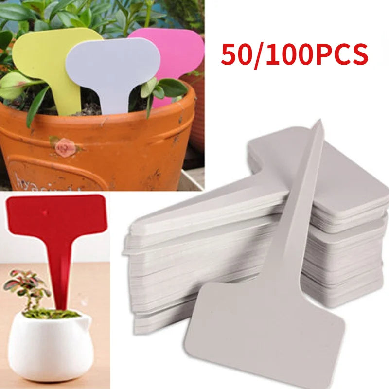 50/100pcs White Plastic PVC Plant T-type Tags Markers Nursery Garden Labels Seedling Tray  Pots Decoration   6x10cm