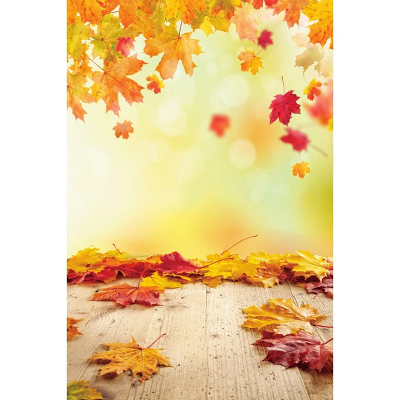 Autumn Landscape Backdrop Fall Forest Maple Fallen Leaves Nature Scenery Harvest Thanksgiving Portrait Photography Background