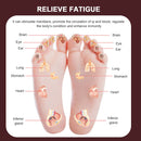 Waist Twisting Disc Magnet Foot Massage Board Fitness Twisting Waist Plate Portable Magnetic Foot Massage Twisting Machine