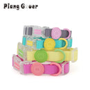 Transparent Buckle Collar Candy Color Pet Cat Dog Collars Leashes For Small Medium Dogs
