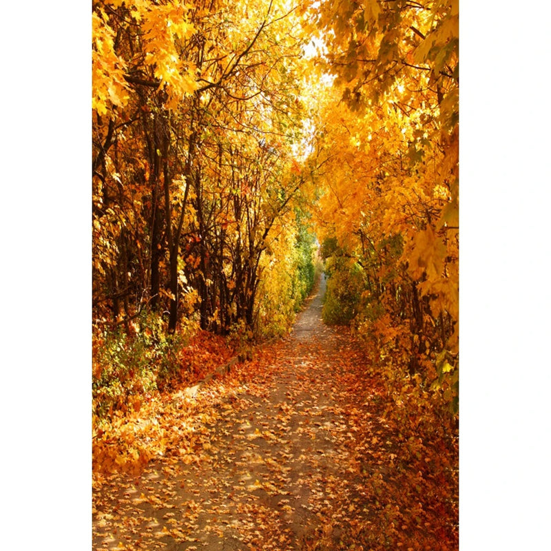 Autumn Landscape Backdrop Fall Forest Maple Fallen Leaves Nature Scenery Harvest Thanksgiving Portrait Photography Background