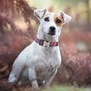 Adjustable Nylon Plaid Unisex Dog Collar Personalized Dog Collar Custom Free Engraved Name ID Tag Small Large Product Dog Collar