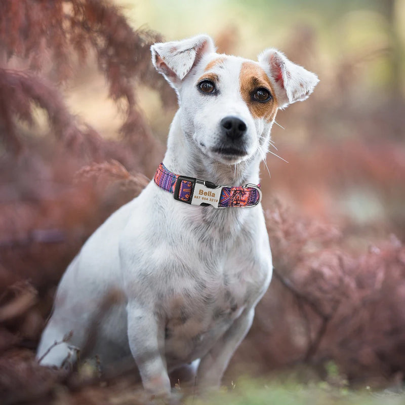 Adjustable Nylon Plaid Unisex Dog Collar Personalized Dog Collar Custom Free Engraved Name ID Tag Small Large Product Dog Collar