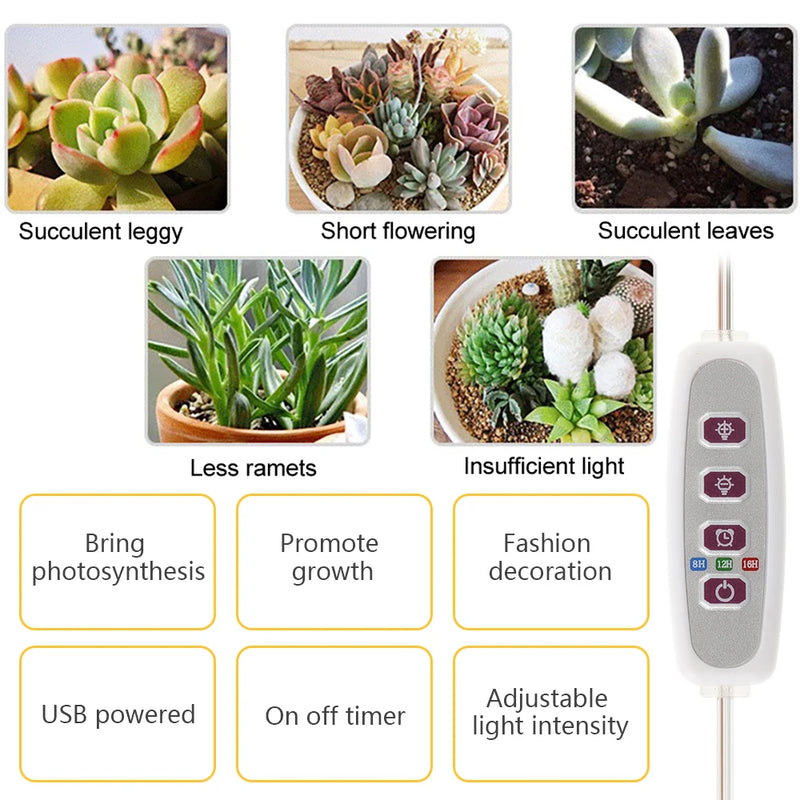 LED Plants Grow Light Full Spectrum Growing Lamp Dimmable for Home Indoor Plant Lighting Timer Adjustable Potted Care Accessory