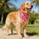 Dog Bandana Fruit Floral Spring Washable Soft Doggy Scarf Kerchief Summer Adjustable for Small Medium Large Dogs Pets