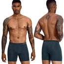 5 Stück neue Herrenunterhosen Polyester Boxershorts Unterwäsche Mann Pack Unterhosen Herren Marke Sexy Homme Boxer Shorts Männliche Eisseide Slips