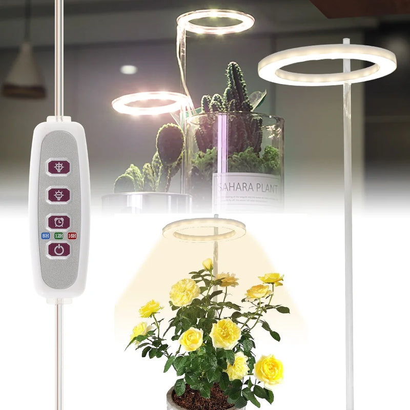 LED Plants Grow Light Full Spectrum Growing Lamp Dimmable for Home Indoor Plant Lighting Timer Adjustable Potted Care Accessory