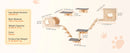 SucceBuy Wall Mounted Cat Shelves Cat Wall Shelves and Perches with Jumping Boards Hammocks & Cat Tree Cat Furniture and Shelves