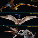 Simulation Jurassic Dinosaur Action Figures Pterosaur Quetzalcoatlus Animals Model Figurines Home Decoration Toy Kids Gift