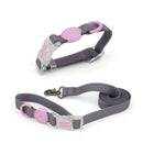 Transparent Buckle Collar Candy Color Pet Cat Dog Collars Leashes For Small Medium Dogs