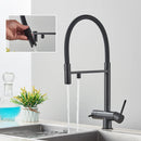 The Clearwell | 2-in-1 Filtered Pull-Down Kitchen Faucet in Solid Brass