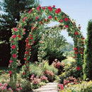 7.9FT Garden Arch Trellis Arched Balloon Climbing Plant Metal Tubular Archway