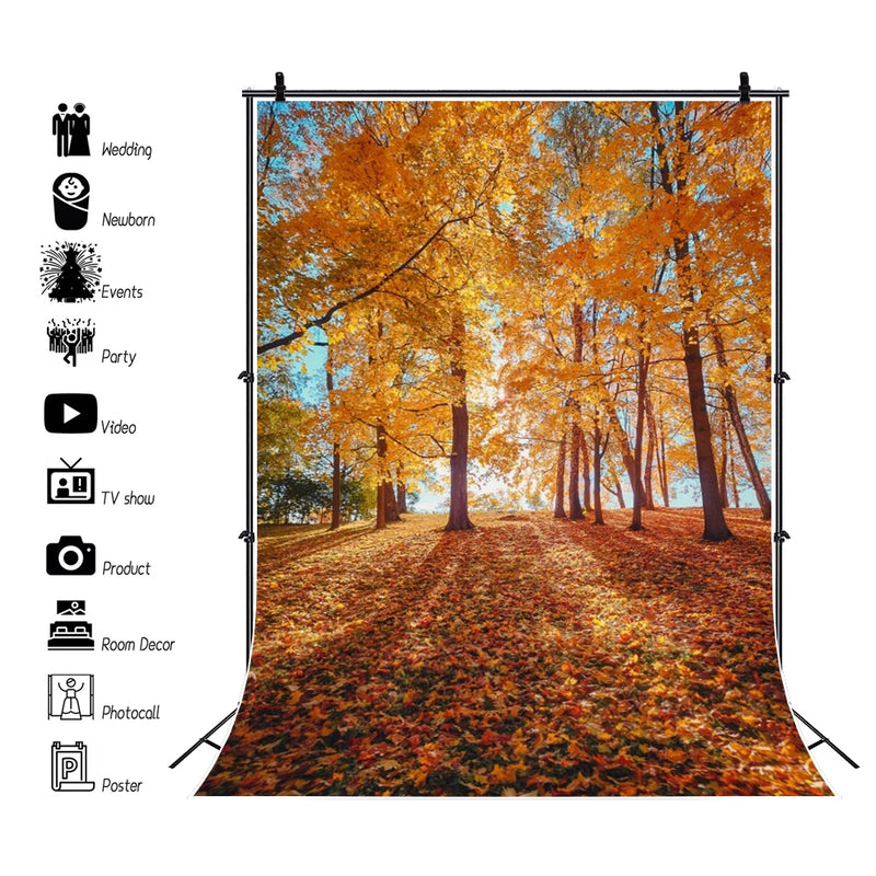 Autumn Landscape Backdrop Fall Forest Maple Fallen Leaves Nature Scenery Harvest Thanksgiving Portrait Photography Background