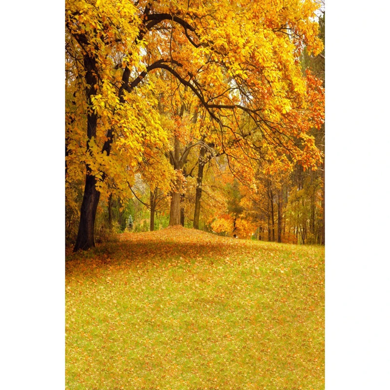 Autumn Landscape Backdrop Fall Forest Maple Fallen Leaves Nature Scenery Harvest Thanksgiving Portrait Photography Background