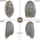 Dumbledore Wigs Synthetic Hair Long Curly Wavy Wizard Grey Wig and Beard for Men Cosplay Accessory Party Halloween Dress Costume