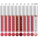 10Pcs Matte Lip Gloss Set - Waterproof Non-Stick Cup Liquid Lipstick Kit Nude Bold Shades Moisturizing Lip Tint for Women Makeup