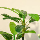 Homcom Artificial Banana Tree 150 cm with Pot and 18 Leaves for Home Decoration