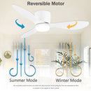 Ceiling Fan with LED Light And Remote Control  Modern Slim Design Energy-saving Decorative Light with Fan Ideal for Bedroom