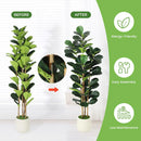 The Evergreen Statement | 5-7ft Artificial Fiddle Leaf Fig Tree