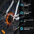 EVERCROSS TECH EK15 Electric bike adult, 26 E-boat with removable battery 36V 12Ah, 7 speeds, Range 35-90km