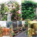 7.9FT Garden Arch Trellis Arched Balloon Climbing Plant Metal Tubular Archway