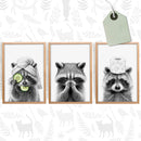 Adorable Raccoon Bathroom Roll Paper Prints Wall Art Canvas Painting Funny Toilet Poster Animal Cute Pictures Home Decoration