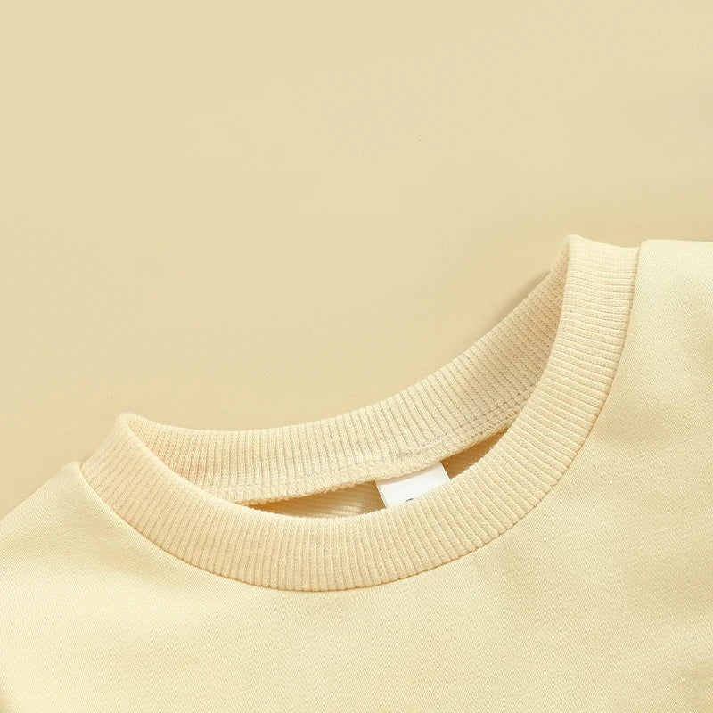 Adorable Toddler Boys Girls Hoodies Easter Outfits Soft Fleece Embroidered Sweaters Long Sleeve Children s Spring Clothing Cute