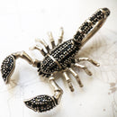 Anhänger Skorpion Schwarz, Brandneuer Modeschmuck Europa 925 Sterling Silber Accessoires Geschenk für Frauen Rebellische Männer